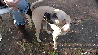 2219 tits porn videos